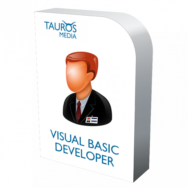 Visual Basic developer